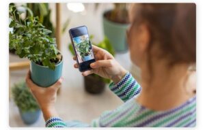 Plant Care App: Identify and Nurture Your Greens