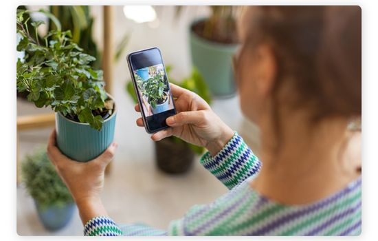 Plant Care App: Identify and Nurture Your Greens