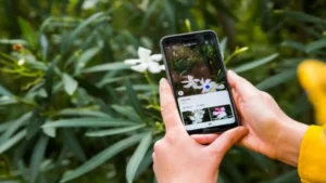 PlantCare: Identify, Diagnose, and Nurture Your Plants