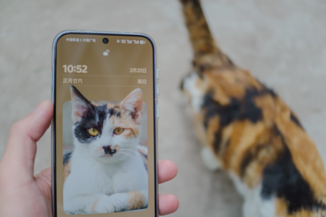 Pet Care App: Comprehensive Tools for Health and Wellness